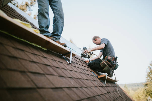 Best Storm Damage Roof Repair  in Rutherford, TN